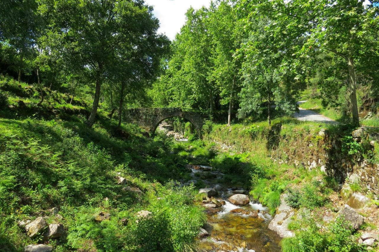 Вилла Quinta Do Botas Moimenta Экстерьер фото